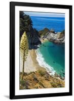 McWay Cove, Julia Pfeiffer Burns State Park, Big Sur, California, USA-Russ Bishop-Framed Photographic Print