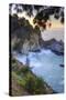 McWay Falls and Morning Light, Big Sur, California-Vincent James-Stretched Canvas