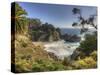 Mcway Falls at Julia Pfeiffer Burns State Park on the Big Sur Coast of California-Kyle Hammons-Stretched Canvas