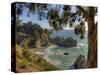 Mcway Falls at Julia Pfeiffer Burns State Park on the Big Sur Coast of California-Kyle Hammons-Stretched Canvas