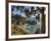 Mcway Falls at Julia Pfeiffer Burns State Park on the Big Sur Coast of California-Kyle Hammons-Framed Photographic Print