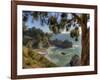 Mcway Falls at Julia Pfeiffer Burns State Park on the Big Sur Coast of California-Kyle Hammons-Framed Photographic Print