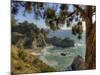 Mcway Falls at Julia Pfeiffer Burns State Park on the Big Sur Coast of California-Kyle Hammons-Mounted Photographic Print