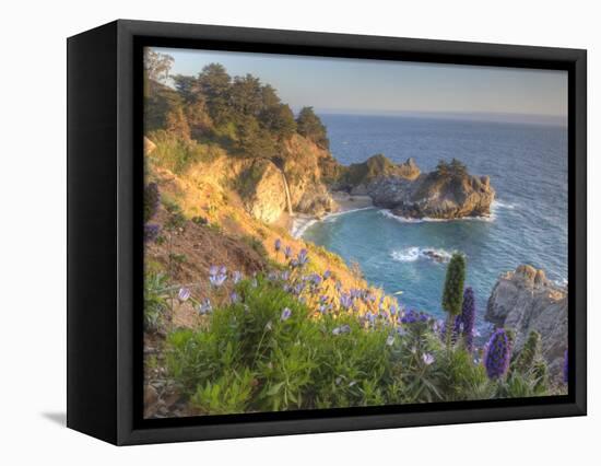 Mcway Falls at Julia Pfieffer Burns State Park Near Big Sur, California, USA-Chuck Haney-Framed Stretched Canvas