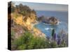 Mcway Falls at Julia Pfieffer Burns State Park Near Big Sur, California, USA-Chuck Haney-Stretched Canvas