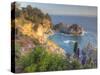 Mcway Falls at Julia Pfieffer Burns State Park Near Big Sur, California, USA-Chuck Haney-Stretched Canvas