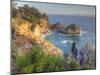 Mcway Falls at Julia Pfieffer Burns State Park Near Big Sur, California, USA-Chuck Haney-Mounted Photographic Print