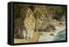 Mcway Falls, Julia Pfeiffer Burns State Park, Big Sur, California, USA-Michel Hersen-Framed Stretched Canvas