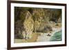 Mcway Falls, Julia Pfeiffer Burns State Park, Big Sur, California, USA-Michel Hersen-Framed Premium Photographic Print