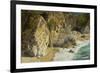 Mcway Falls, Julia Pfeiffer Burns State Park, Big Sur, California, USA-Michel Hersen-Framed Premium Photographic Print
