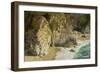 Mcway Falls, Julia Pfeiffer Burns State Park, Big Sur, California, USA-Michel Hersen-Framed Photographic Print