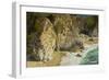 Mcway Falls, Julia Pfeiffer Burns State Park, Big Sur, California, USA-Michel Hersen-Framed Photographic Print