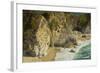 Mcway Falls, Julia Pfeiffer Burns State Park, Big Sur, California, USA-Michel Hersen-Framed Photographic Print