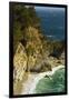 Mcway Falls, Julia Pfeiffer Burns State Park, Big Sur, California, USA-Michel Hersen-Framed Photographic Print