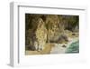 Mcway Falls, Julia Pfeiffer Burns State Park, Big Sur, California, USA-Michel Hersen-Framed Photographic Print