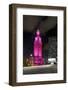 Mdc Freedom Tower at Night, Illumination in Pink, Biscayne Boulevard, Miami Downtown, Miami-Axel Schmies-Framed Photographic Print