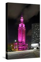 Mdc Freedom Tower at Night, Illumination in Pink, Biscayne Boulevard, Miami Downtown, Miami-Axel Schmies-Stretched Canvas