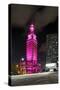 Mdc Freedom Tower at Night, Illumination in Pink, Biscayne Boulevard, Miami Downtown, Miami-Axel Schmies-Stretched Canvas