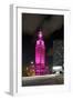 Mdc Freedom Tower at Night, Illumination in Pink, Biscayne Boulevard, Miami Downtown, Miami-Axel Schmies-Framed Photographic Print