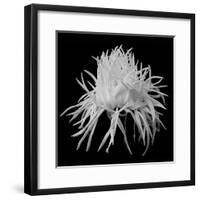 Mde Belle Epoch, 2009-Hiroyuki Arakawa-Framed Photographic Print