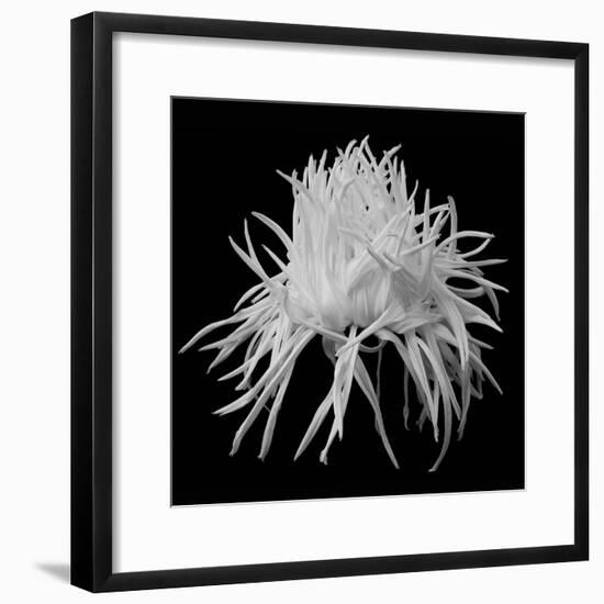 Mde Belle Epoch, 2009-Hiroyuki Arakawa-Framed Photographic Print