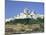 Mdina, Malta-Peter Thompson-Mounted Photographic Print