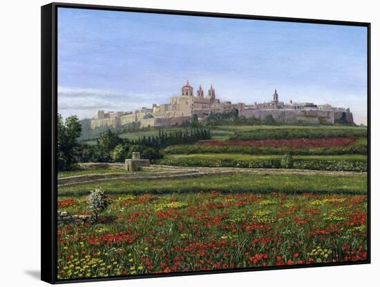 Mdina Poppies Malta 1-Richard Harpum-Framed Stretched Canvas