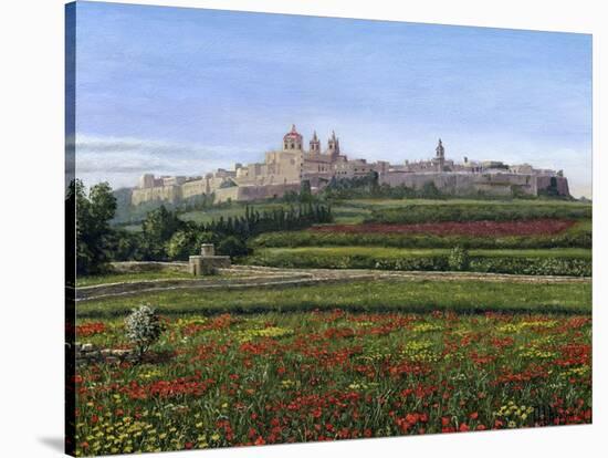 Mdina Poppies Malta 1-Richard Harpum-Stretched Canvas