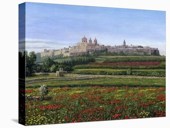 Mdina Poppies Malta 1-Richard Harpum-Stretched Canvas