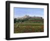 Mdina Poppies Malta 1-Richard Harpum-Framed Art Print