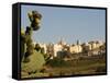 Mdina, View over the Surrounding Fields to the Ancient Walled City of Mdina, Malta-John Warburton-lee-Framed Stretched Canvas