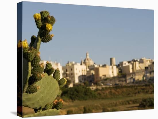 Mdina, View over the Surrounding Fields to the Ancient Walled City of Mdina, Malta-John Warburton-lee-Stretched Canvas