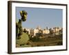 Mdina, View over the Surrounding Fields to the Ancient Walled City of Mdina, Malta-John Warburton-lee-Framed Photographic Print