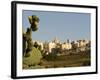 Mdina, View over the Surrounding Fields to the Ancient Walled City of Mdina, Malta-John Warburton-lee-Framed Photographic Print