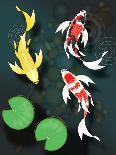 Three Butterfly Koi Fish-mduerksen-Art Print