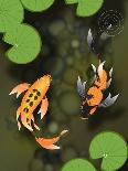 Three Butterfly Koi Fish-mduerksen-Art Print