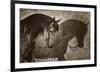 Me and my Shadow-Barry Hart-Framed Giclee Print