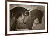 Me and my Shadow-Barry Hart-Framed Giclee Print