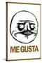 Me Gusta Rage Comic Meme Poster-null-Stretched Canvas