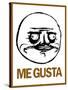 Me Gusta Rage Comic Meme-null-Stretched Canvas