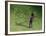 Me-Colin Bootman-Framed Giclee Print