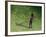 Me-Colin Bootman-Framed Premium Giclee Print