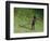 Me-Colin Bootman-Framed Giclee Print