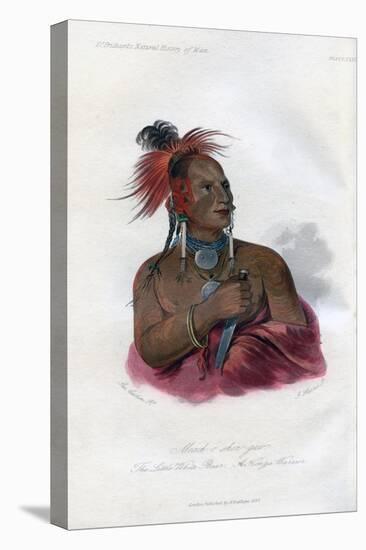 Meach-O-Shin-Gaw, the Little White Bear, a Konza Warrior, 1848-Harris-Stretched Canvas