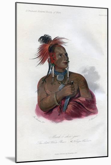 Meach-O-Shin-Gaw, the Little White Bear, a Konza Warrior, 1848-Harris-Mounted Giclee Print