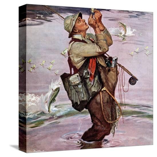 Stretched Canvas Print, , large