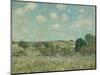 Meadow, 1875-Alfred Sisley-Mounted Art Print