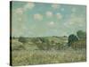 Meadow, 1875-Alfred Sisley-Stretched Canvas