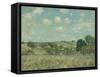 Meadow, 1875-Alfred Sisley-Framed Stretched Canvas