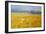 Meadow 1-Vahe Yeremyan-Framed Art Print